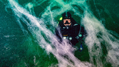 8 işletmeye müsilaj cezası