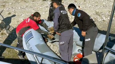 Mahsur kalan köpekleri botla kurtardılar