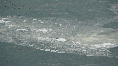 Marmara Denizi'ni kurtarabilir miyiz? Uzman isim yanıtladı