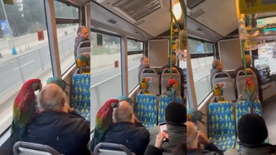 İETT otobüsünde görenleri gülümseten manzara