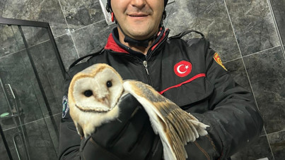 Banyoda baykuş sürprizi