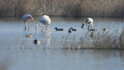 Türkiye'nin gizli cenneti için bakanlık harekete geçti