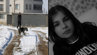 Yüksekova Belediyesi'ne sokak köpeği soruşturması