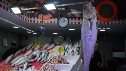 120 santim boyunda dev minekop avladı: 6 bin liraya sattı