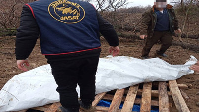 Çukura gömdüğü traktörü için 'çalıntı' ihbarı yaptı, gözaltına alındı