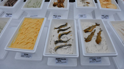 Ordulu dondurmacı, Guinness Rekorlar Kitabı'na girdi