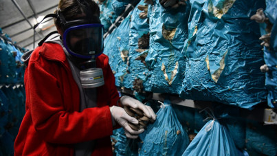 Şehirden köye göç ettiler: Yılda 10 ton üretim yapıyorlar