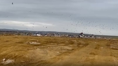 Bakanlıktan ASKİ'ye 5 milyonluk ceza