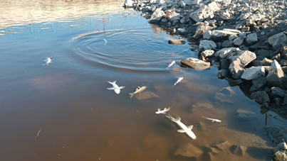 Karasu Çayı'nda inceleme başlatıldı