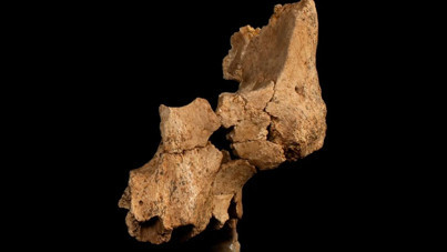 Tarihi keşif: Tarih öncesinden kalma yeni bir insan türü bulundu