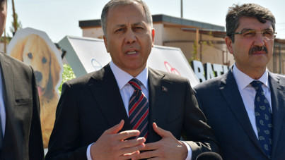 Yerlikaya'dan sokak köpekleri açıklaması: Müfettişlere 14 gün verdik