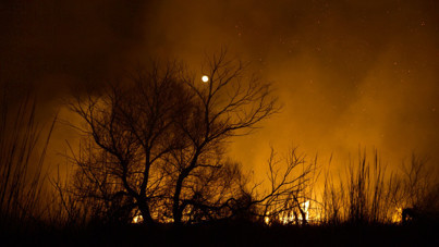 Kuş cenneti kül oldu