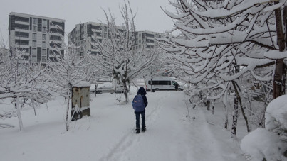 Bitlis kar altında: 80 köye ulaşılamıyor