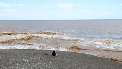 Sağanak sonrası denizin rengi değişti