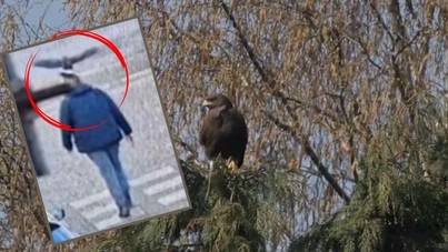 Erkek köylülere haftalarca terör saçtı, intikamını böyle aldılar