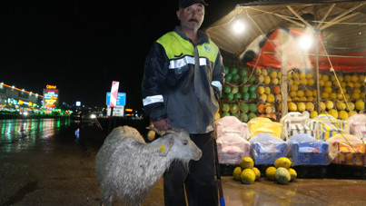 Menfezden yayılan zehirli koku hayvanları öldürdü