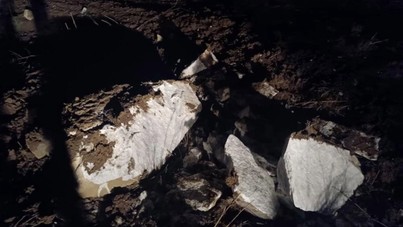 TikTok definecileri yakayı ele verdi