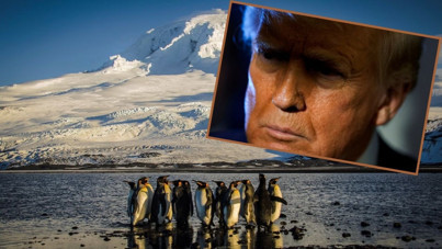 Trump sadece penguenlerin yaşadığı adaya vergi getirdi