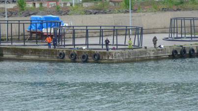 Levrekler kafesten kaçtı, haberi duyan oltasını alıp sahile koştu