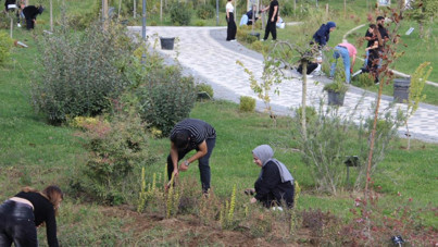 Hayaldi gerçek oldu: Ünü Düzce'den dünyaya yayıldı