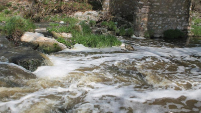 Ketenlik Deresi alarm veriyor