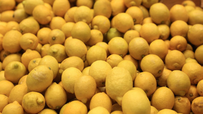 Limonda ihracat yasağı bir gün sürdü