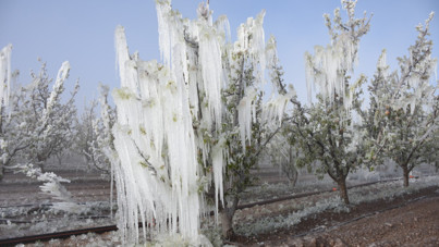 10 soruda afetlere karşı tarım sigortaları