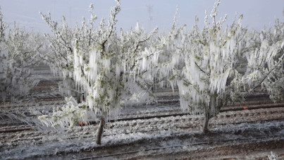 Ankara Valiliği'nden zirai don uyarısı
