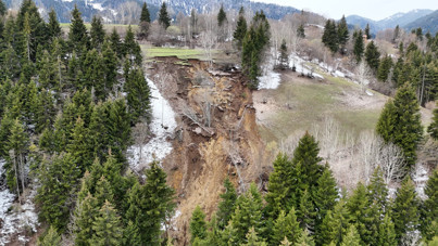 Artvin'de heyelan: Ağaçlar köklerinden söküldü, orman yerle bir oldu
