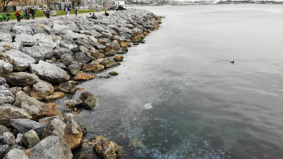 Moda Sahili'ni denizanası bastı