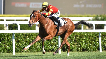 Veliefendi'de sezon başlıyor