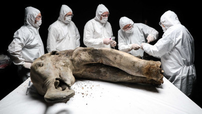 DSÖ'den zombi virüs tatbikatı: Yeni salgın endişesi büyüyor