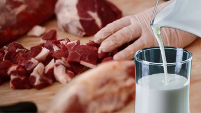 Et ve süt ürünlerinde 'Listeria' alarmı: Buzdolabında bile çoğalıyor
