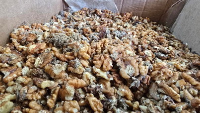 İnsanlara kurtlanmış baklava yedireceklerdi