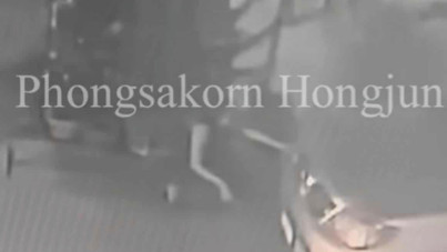 Cani anne: Sokak ortasında doğum yapıp ölüme terk etti