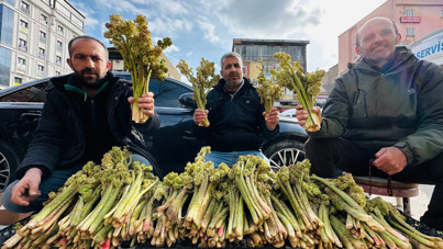 Yayla muzunun destesi 100 TL
