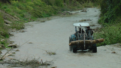 Kıyım kaldığı yerden: 'Temizliyoruz' dediler, bin 441 ağacı kestiler