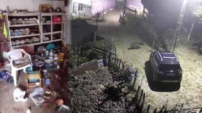 Rize'de kış uykusundan uyanan ayılar kapıyı kırıp evi talan etti