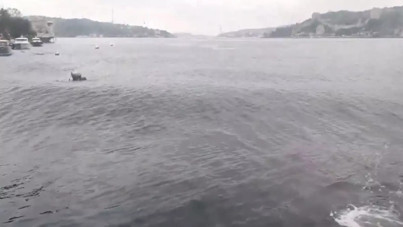 Deprem sırasında Marmara Denizi'nde dalga boyları yükseldi