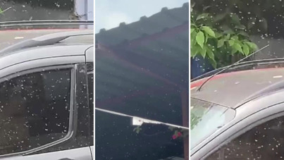 Adana ayakta: Vatandaş isyan etti