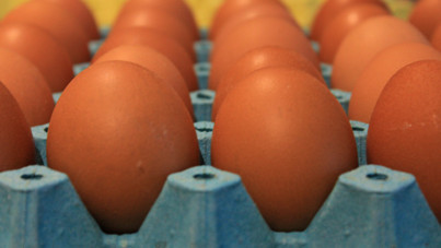 Türkiye'nin yumurta ihracatı kuş gribinin etkisiyle patladı