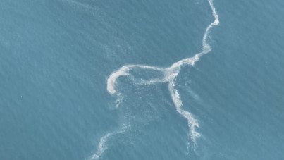 Prof. Dr. Doğanay Tolunay: Ergene müsilaja neden oluyor