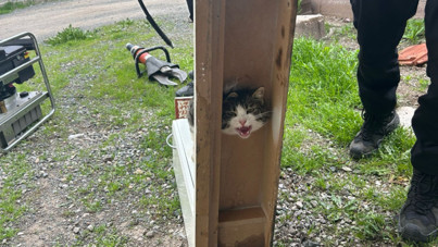 Dolaba sıkışan kediyi itfaiye kurtardı