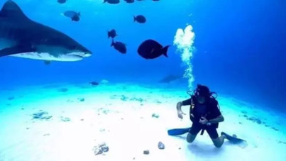 Mahsun Kırmızıgül, köpekbalığıyla burun buruna geldi