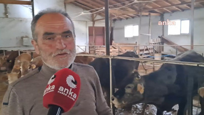 Artvinli üretici: Kurbanlıklar var ama alıcı yok