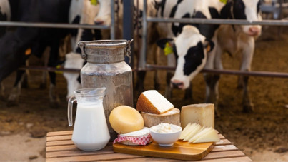 2024'te onlarca kişiyi hastanelik eden 8 riskli gıda