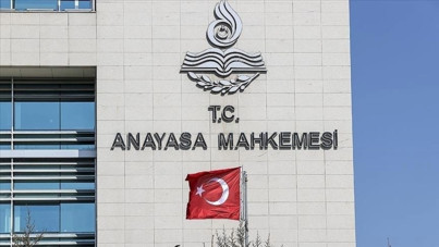 Sokak hayvanlarının kaderi 7 Mayıs'ta belli oluyor