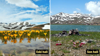 İnsanlar elleriyle mahvetti: Yaylada bu sene ilk kez çiçek açmadı