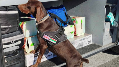 'Adele' 351 bin Euro'yu buldu