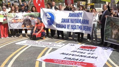 Hak savunucuları AYM önünde: Katliama hayır